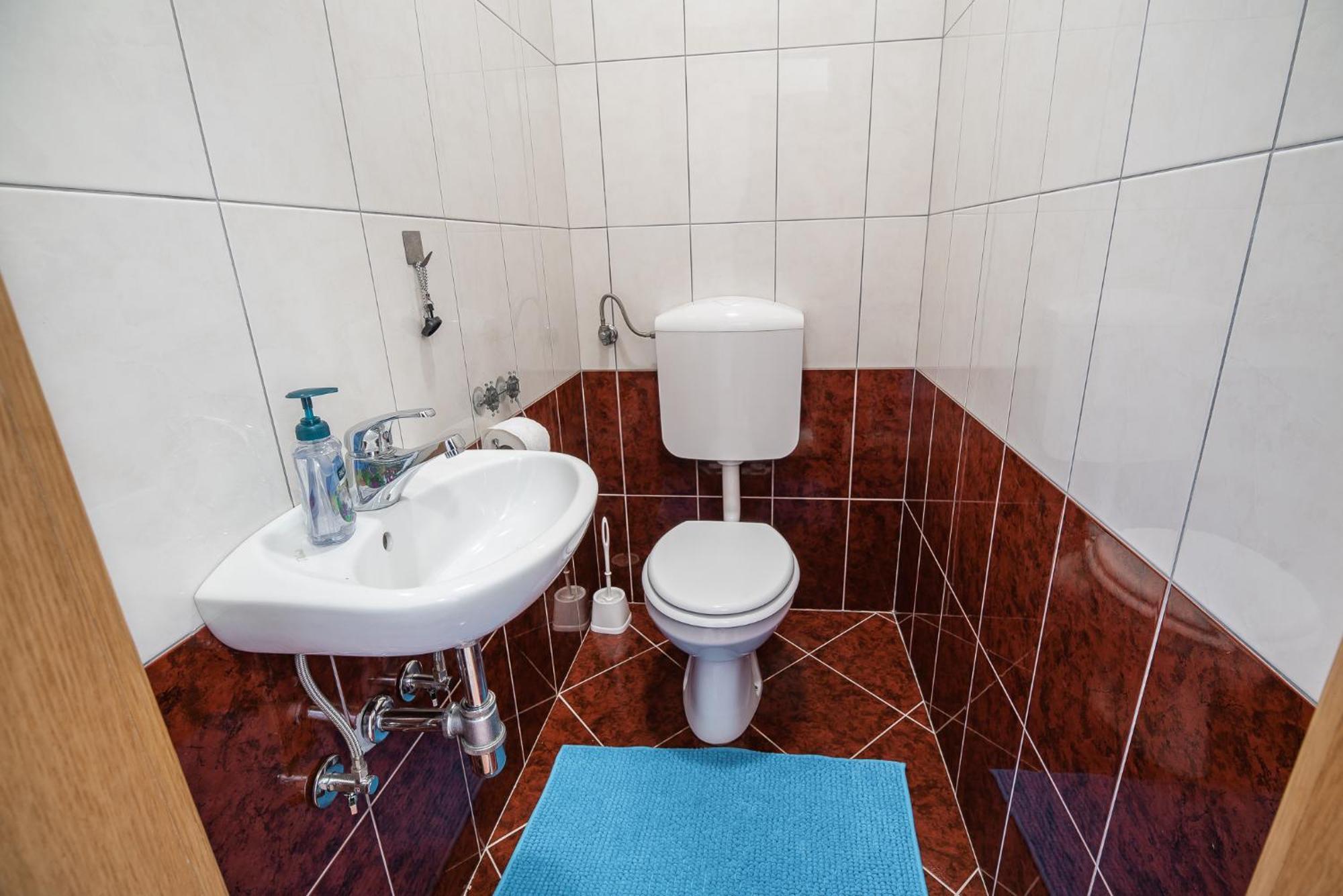 Apartment Zelimlje Škofljica Εξωτερικό φωτογραφία